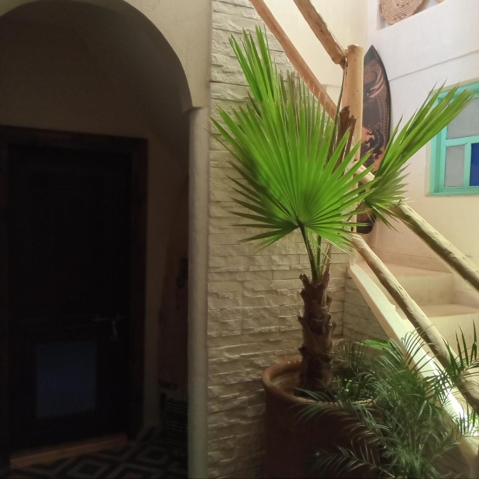 Moroccan Boho Surf House Agadir Exterior foto